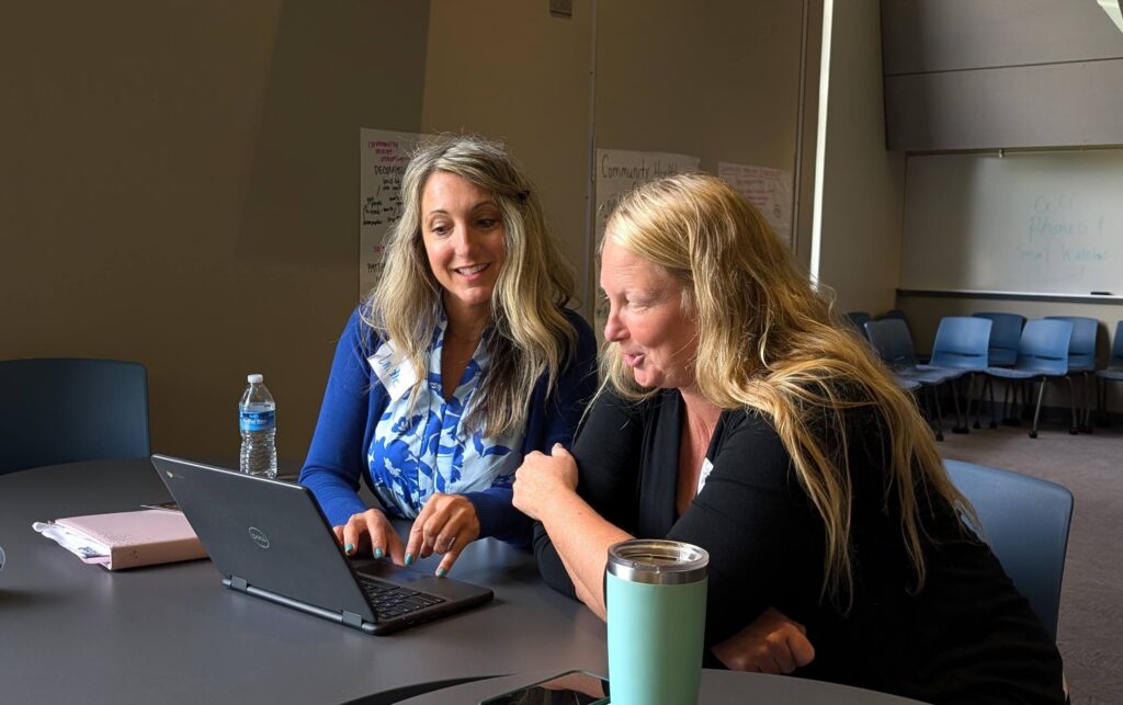 Two teachers viewing CT applications on a computer screen